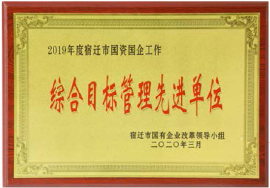 2019年度宿遷市國資企業(yè)工作先進(jìn)單位